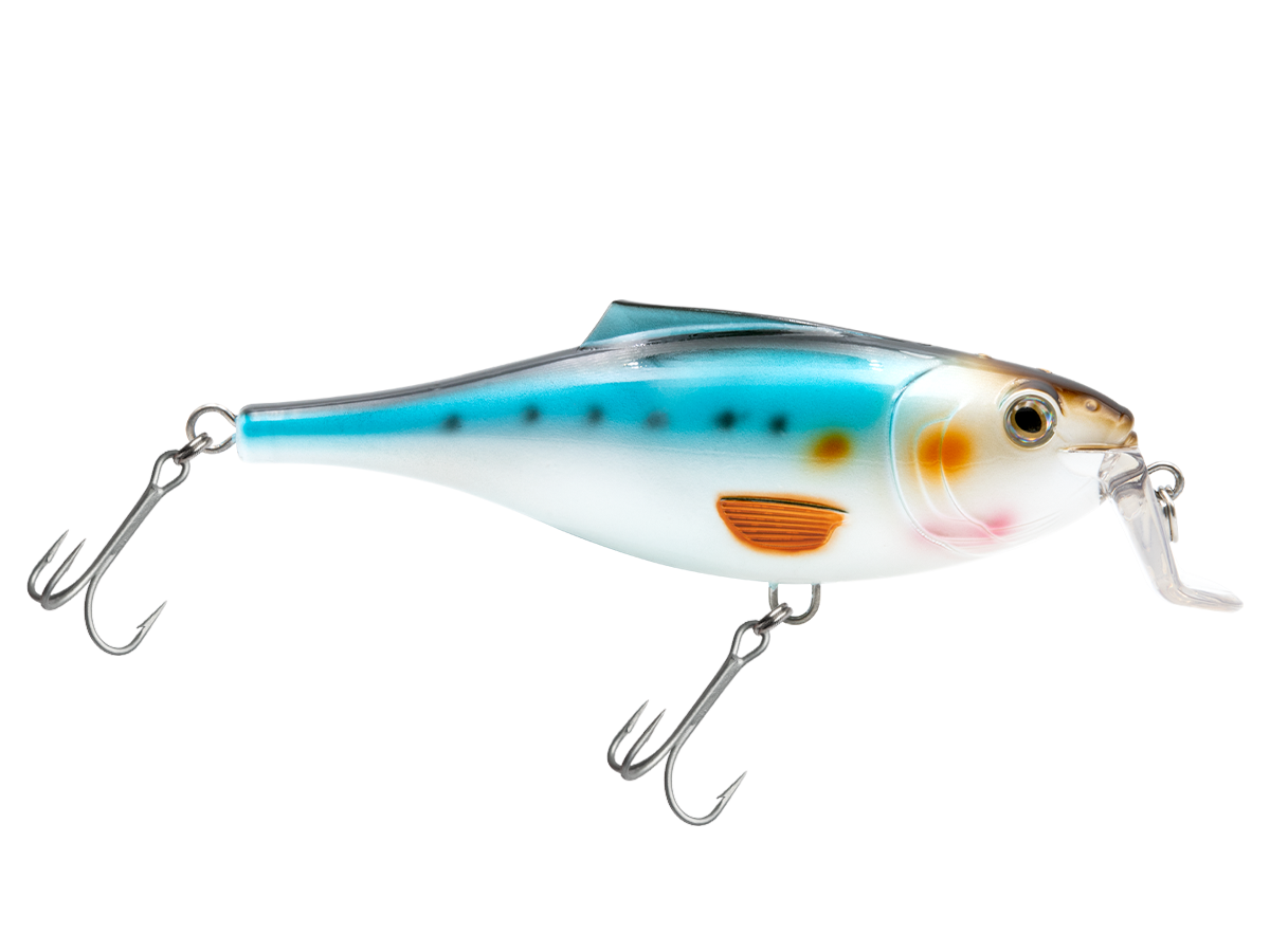 Livingston Lures BullDozer SW - Angler's Pro Tackle & Outdoors