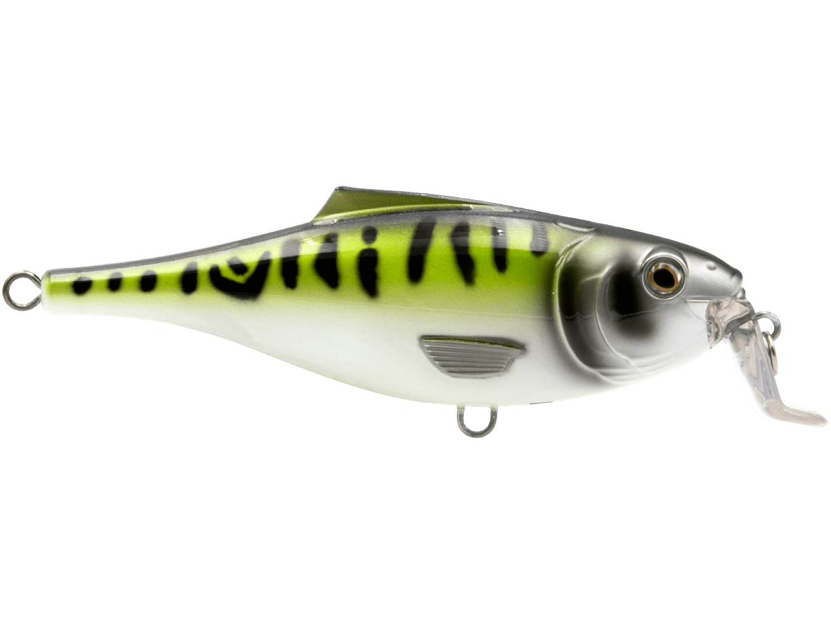 Livingston Lures BullDozer SW - Angler's Pro Tackle & Outdoors