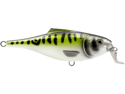 Livingston Lures BullDozer SW - Angler's Pro Tackle & Outdoors