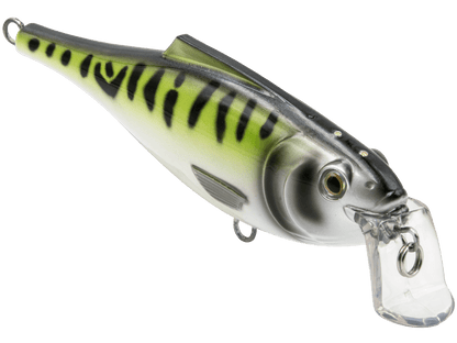 Livingston Lures BullDozer SW - Angler's Pro Tackle & Outdoors