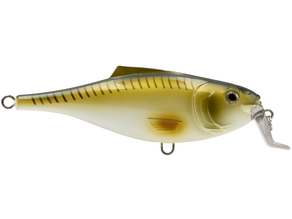 Livingston Lures BullDozer SW - Angler's Pro Tackle & Outdoors