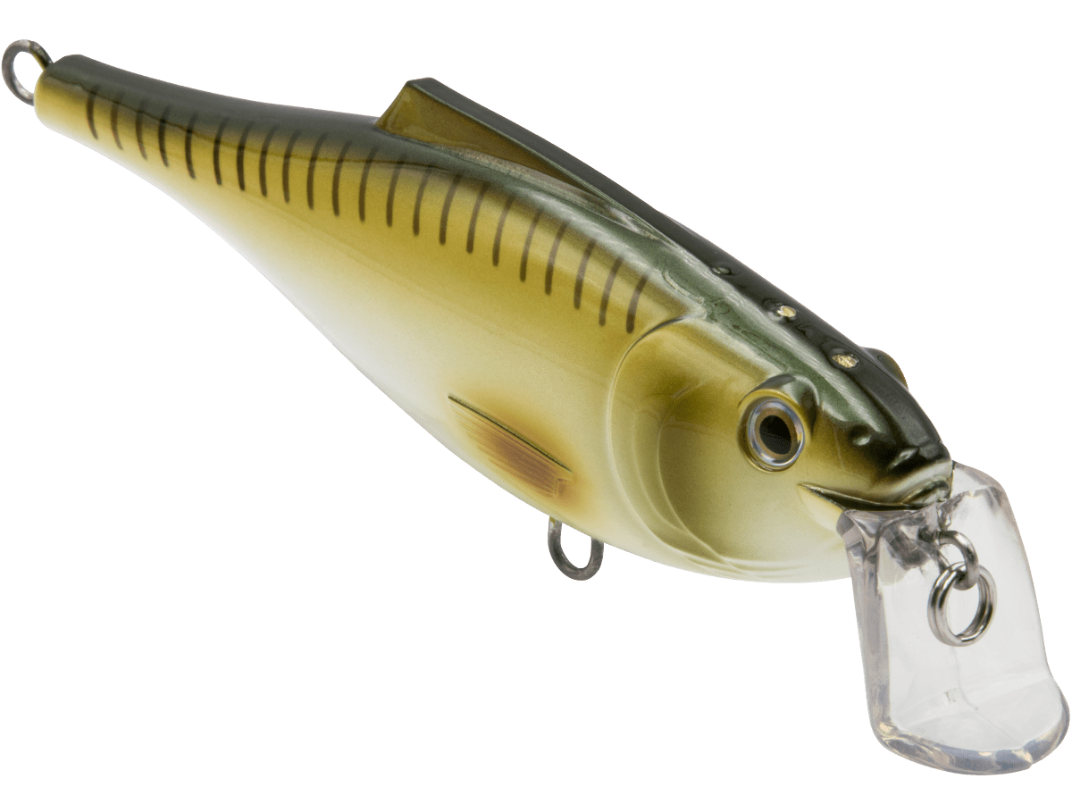 Livingston Lures BullDozer SW - Angler's Pro Tackle & Outdoors