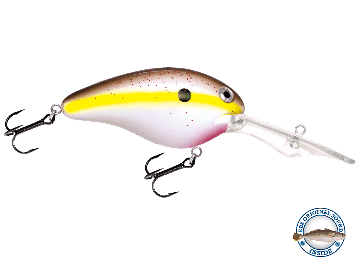 Livingston Lures Dive Master 20 - Angler's Pro Tackle & Outdoors