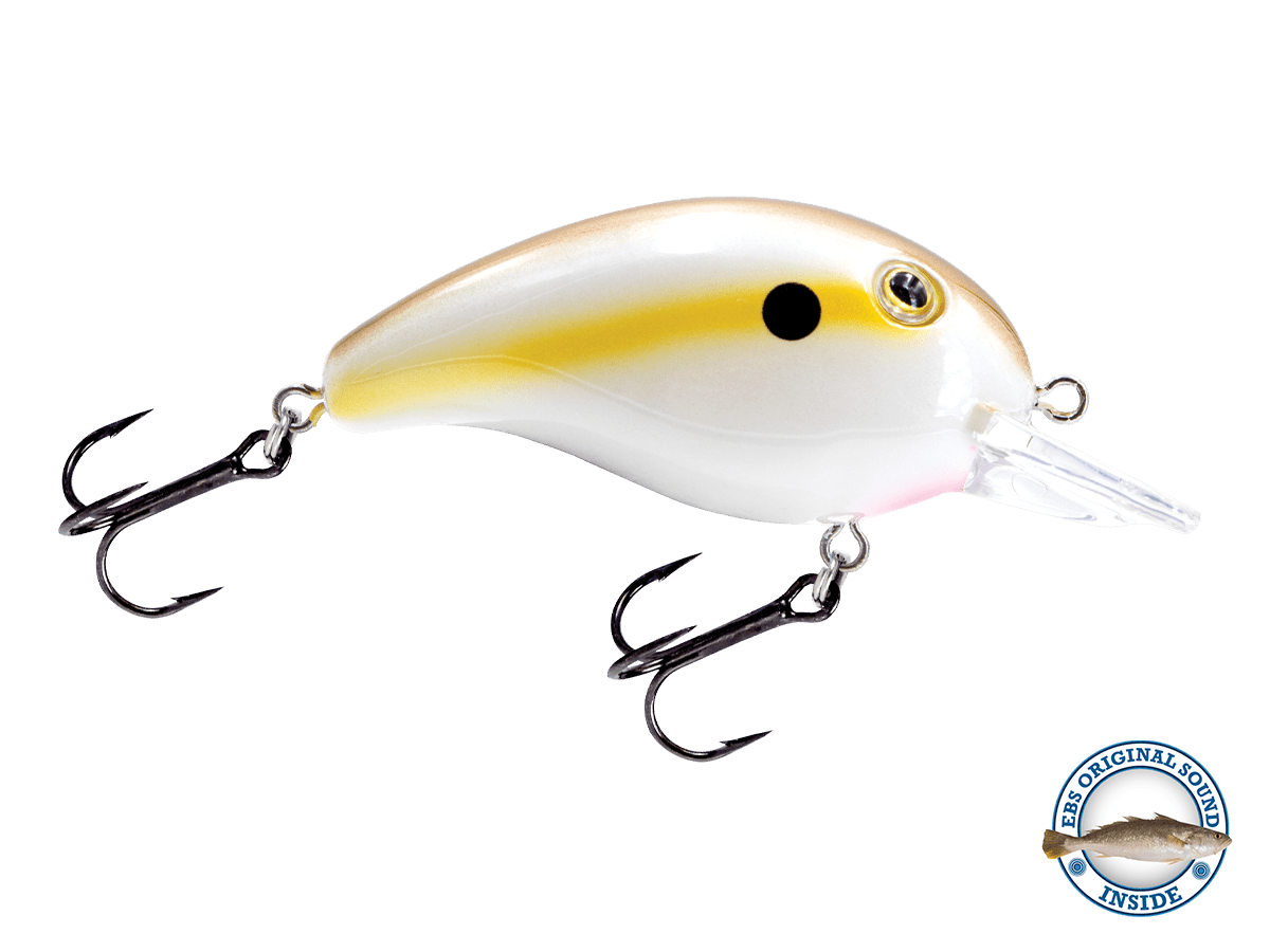 Livingston Lures Dive Master Jr - Angler's Pro Tackle & Outdoors