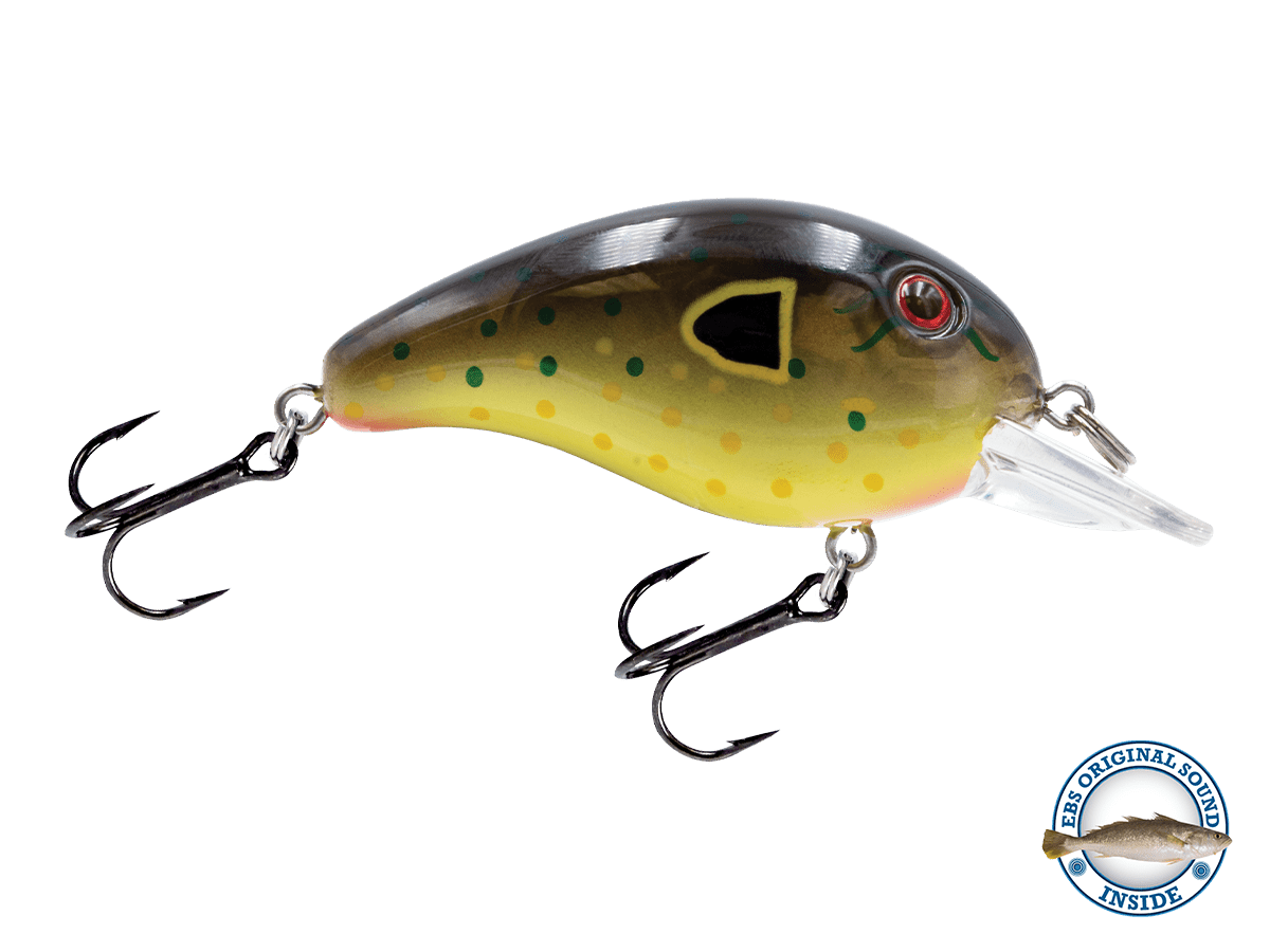 Livingston Lures Dive Master Jr - Angler's Pro Tackle & Outdoors