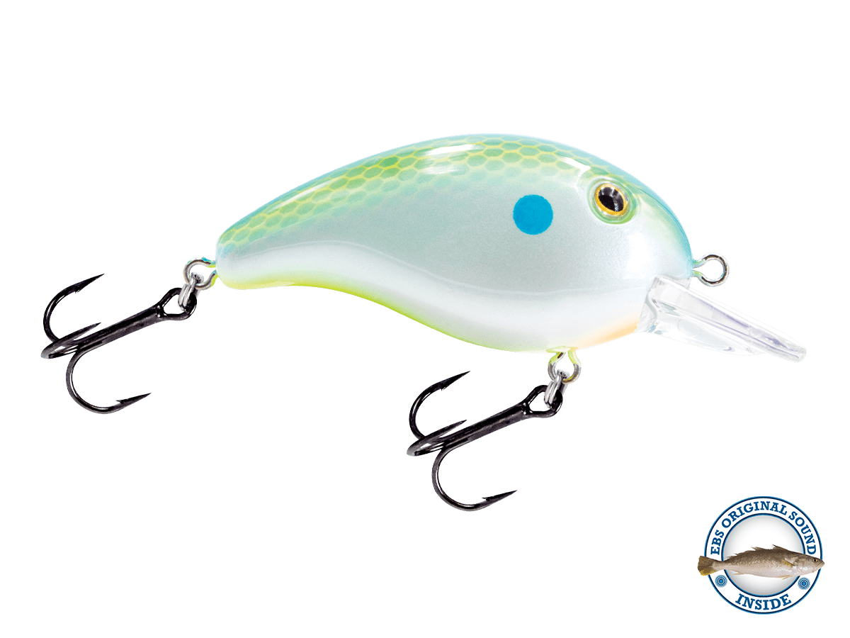 Livingston Lures Dive Master Jr - Angler's Pro Tackle & Outdoors