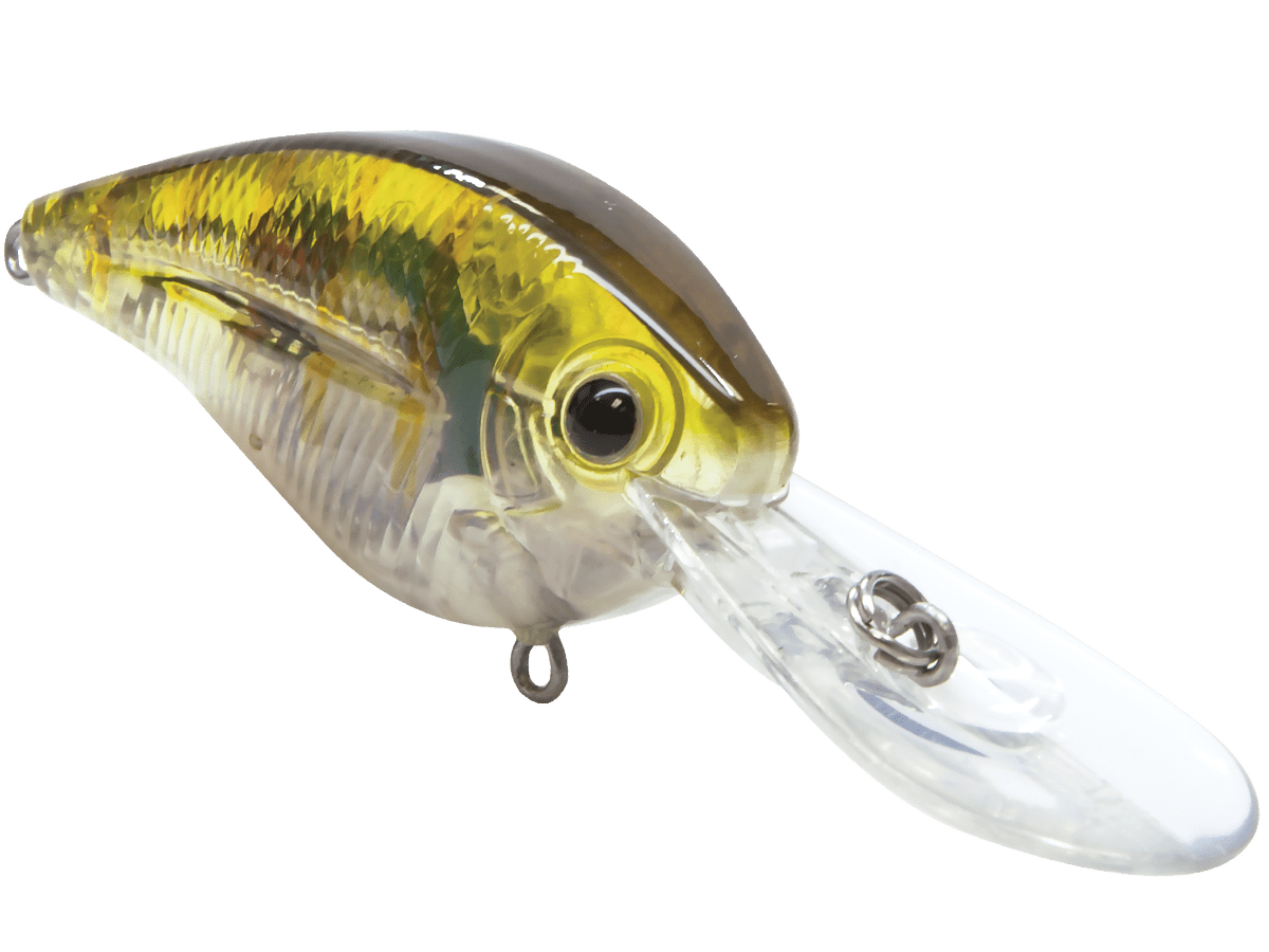 Livingston Lures FlatMaster (EBS MultiTouch) - Angler's Pro Tackle & Outdoors