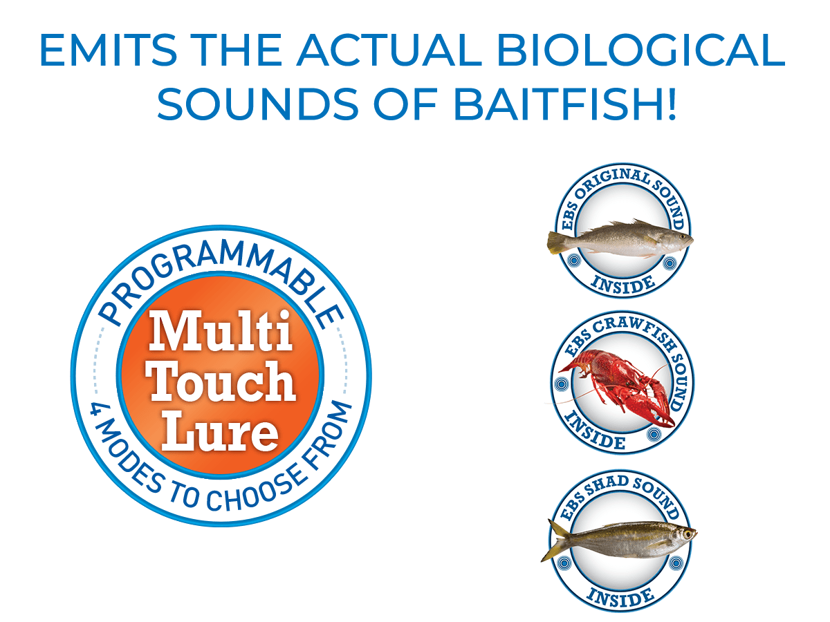 Livingston Lures Howeller Deep Plus (EBS MultiTouch) - Angler's Pro Tackle & Outdoors