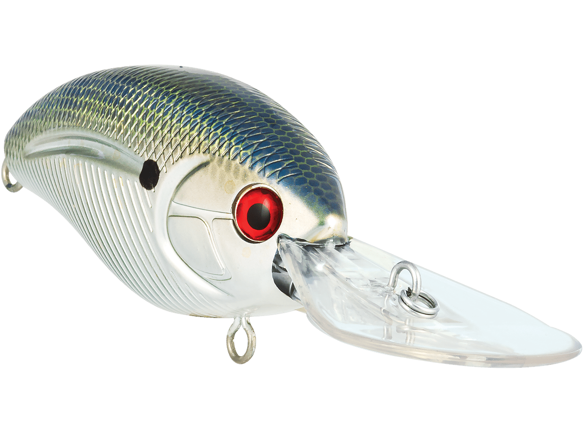 Livingston Lures Howeller Deep Plus (EBS MultiTouch) - Angler's Pro Tackle & Outdoors