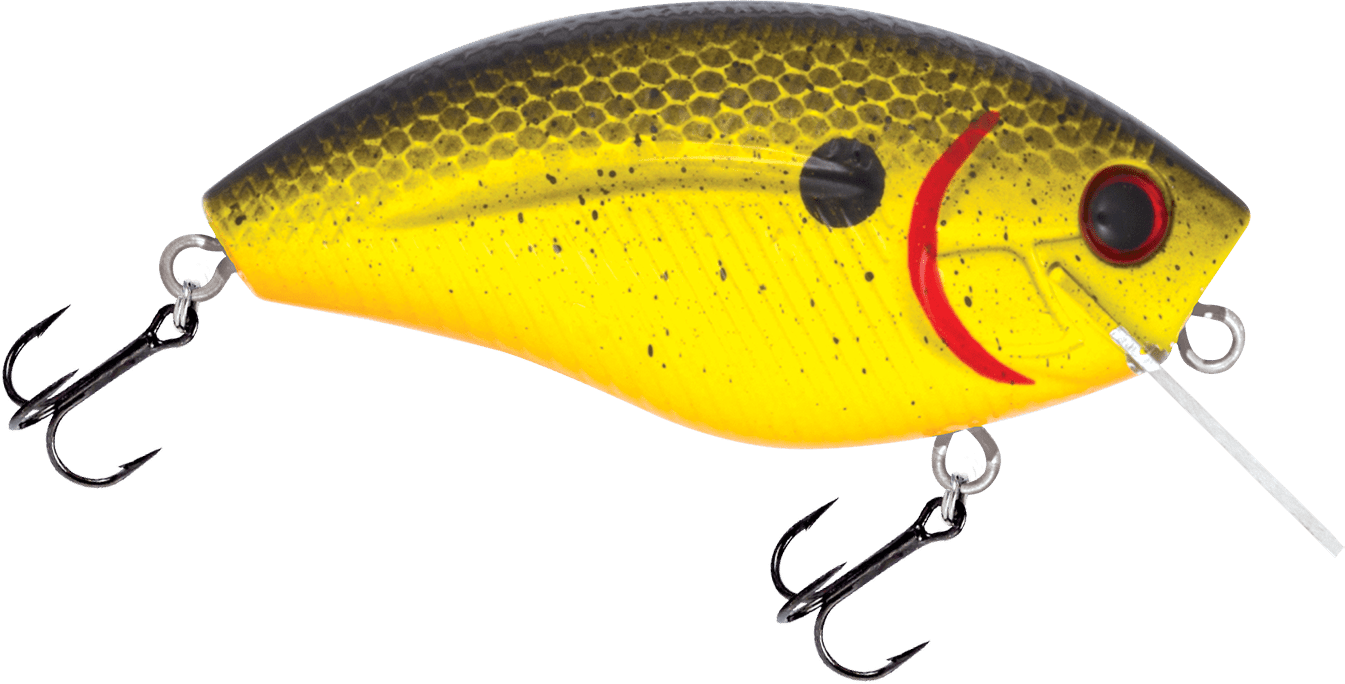 Livingston Lures Howeller DMC SQ - Angler's Pro Tackle & Outdoors