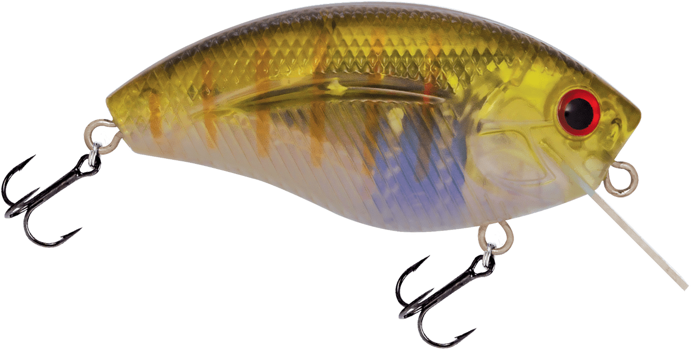 Livingston Lures Howeller DMC SQ - Angler's Pro Tackle & Outdoors