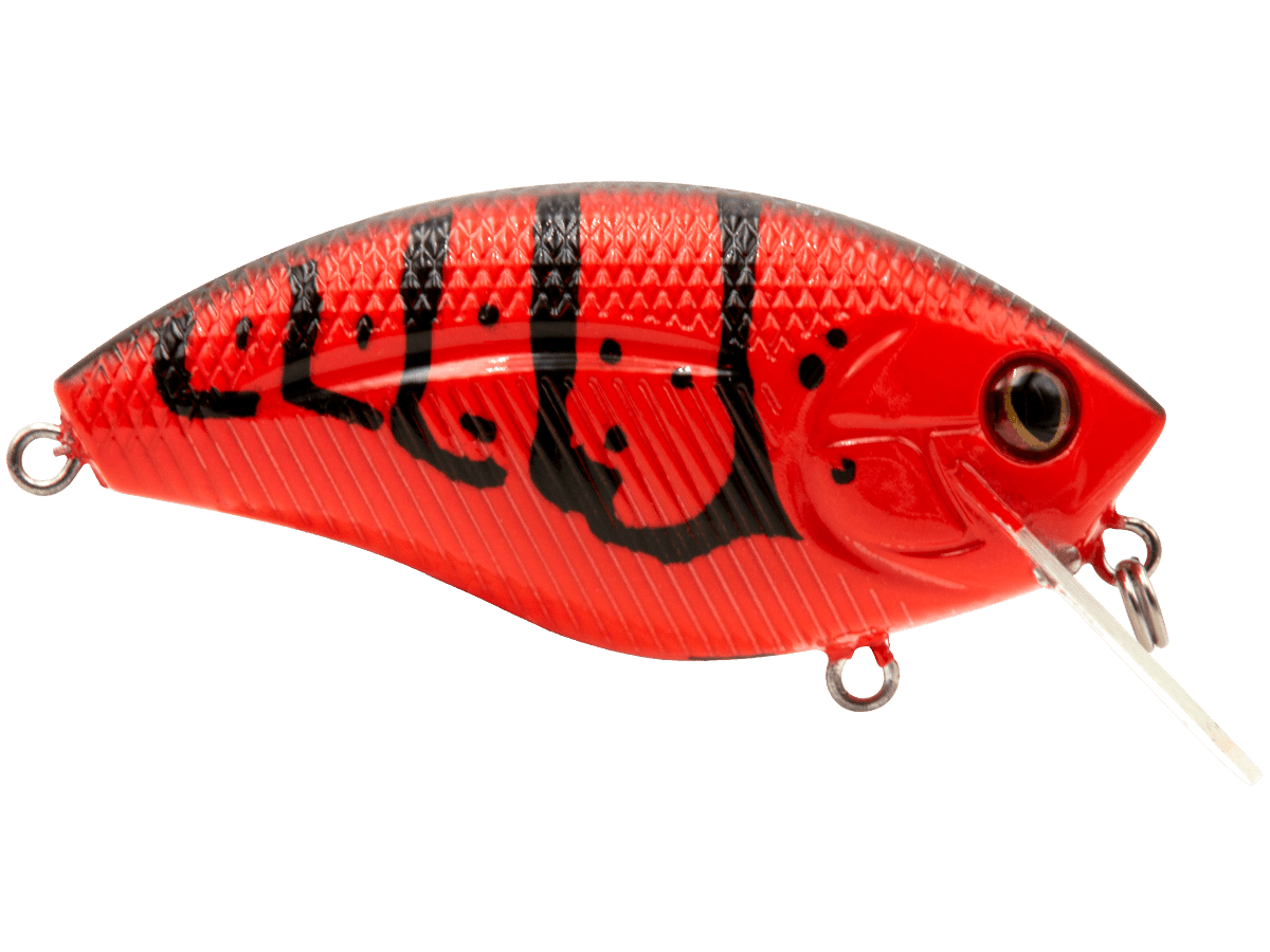 Livingston Lures Howeller DMC SQ - Angler's Pro Tackle & Outdoors