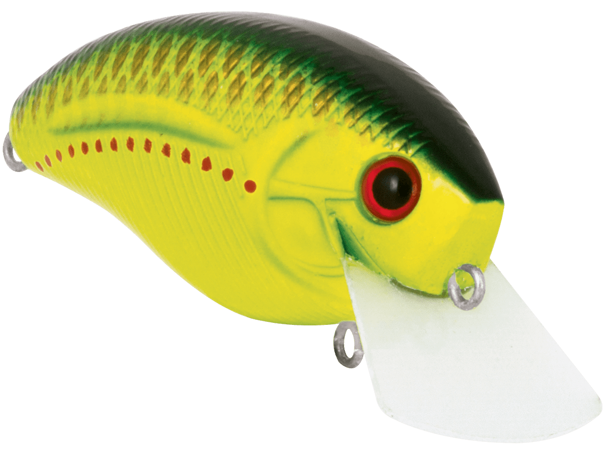 Livingston Lures Howeller DMC SQ - Angler's Pro Tackle & Outdoors