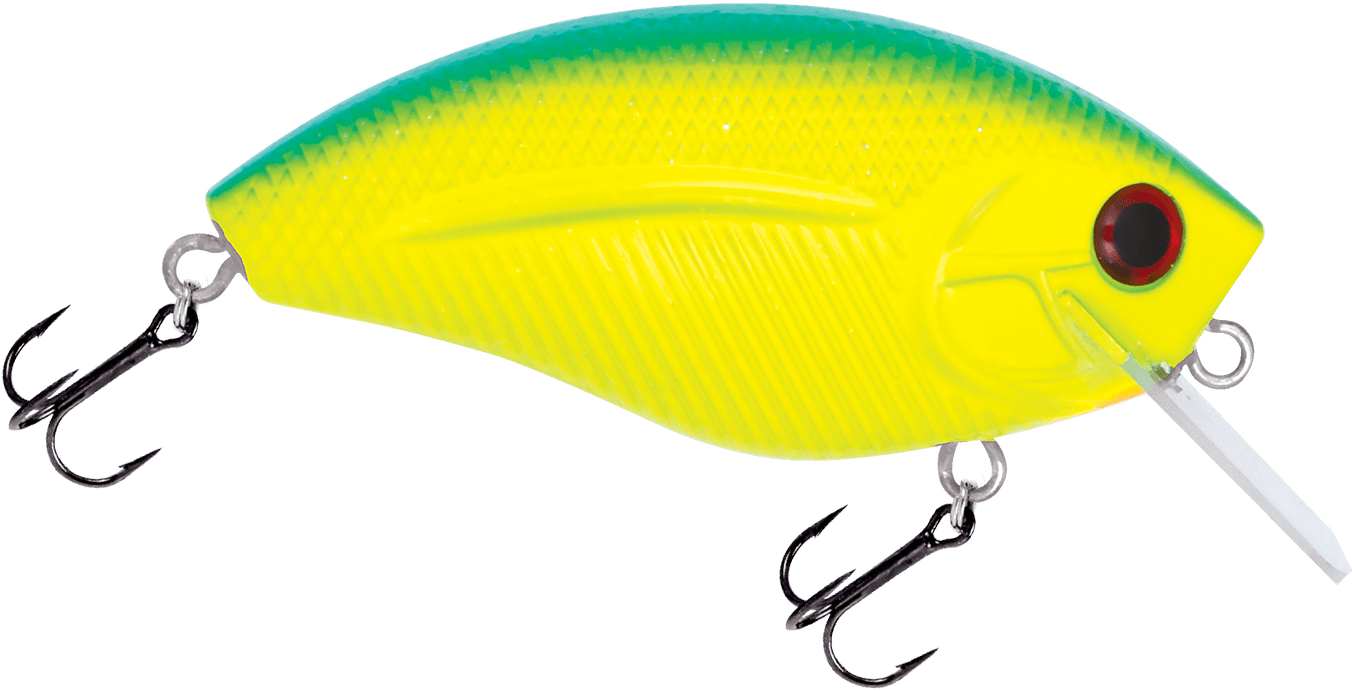 Livingston Lures Howeller DMC SQ - Angler's Pro Tackle & Outdoors