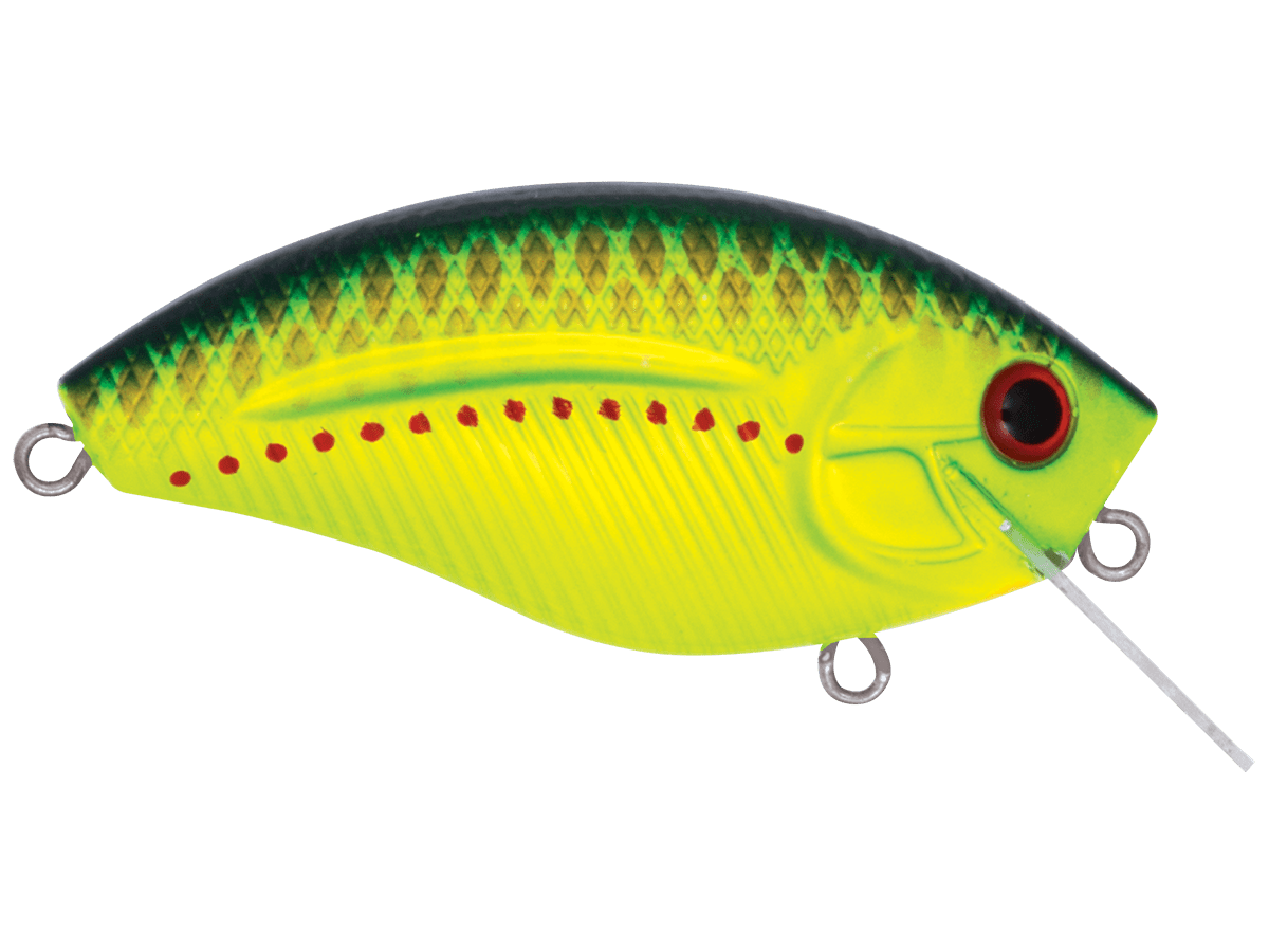 Livingston Lures Howeller DMC SQ - Angler's Pro Tackle & Outdoors