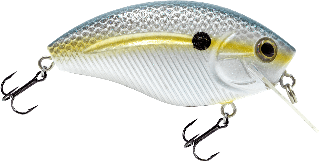 Livingston Lures Howeller DMC SQ - Angler's Pro Tackle & Outdoors