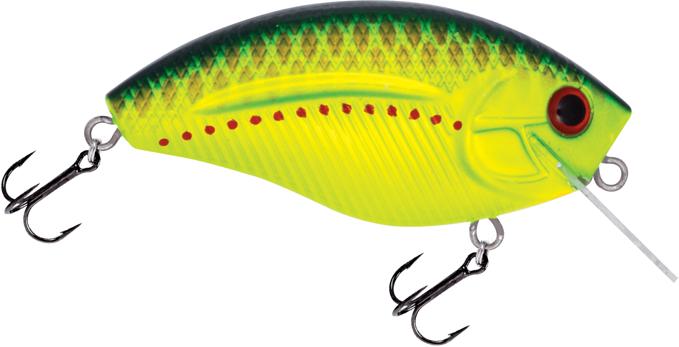 Livingston Lures Howeller DMC SQ - Angler's Pro Tackle & Outdoors