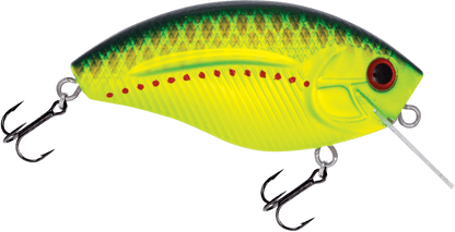 Livingston Lures Howeller DMC SQ - Angler's Pro Tackle & Outdoors