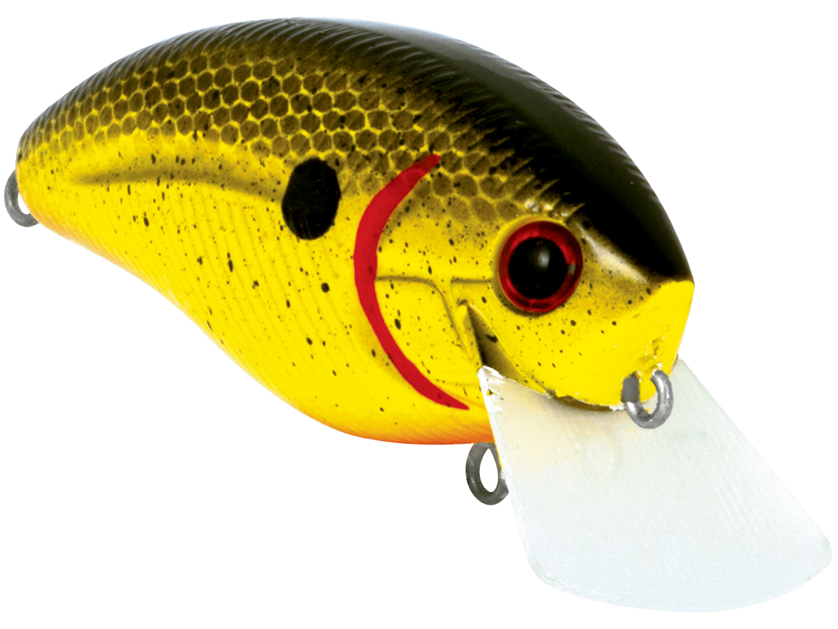 Livingston Lures Howeller DMC SQ - Angler's Pro Tackle & Outdoors