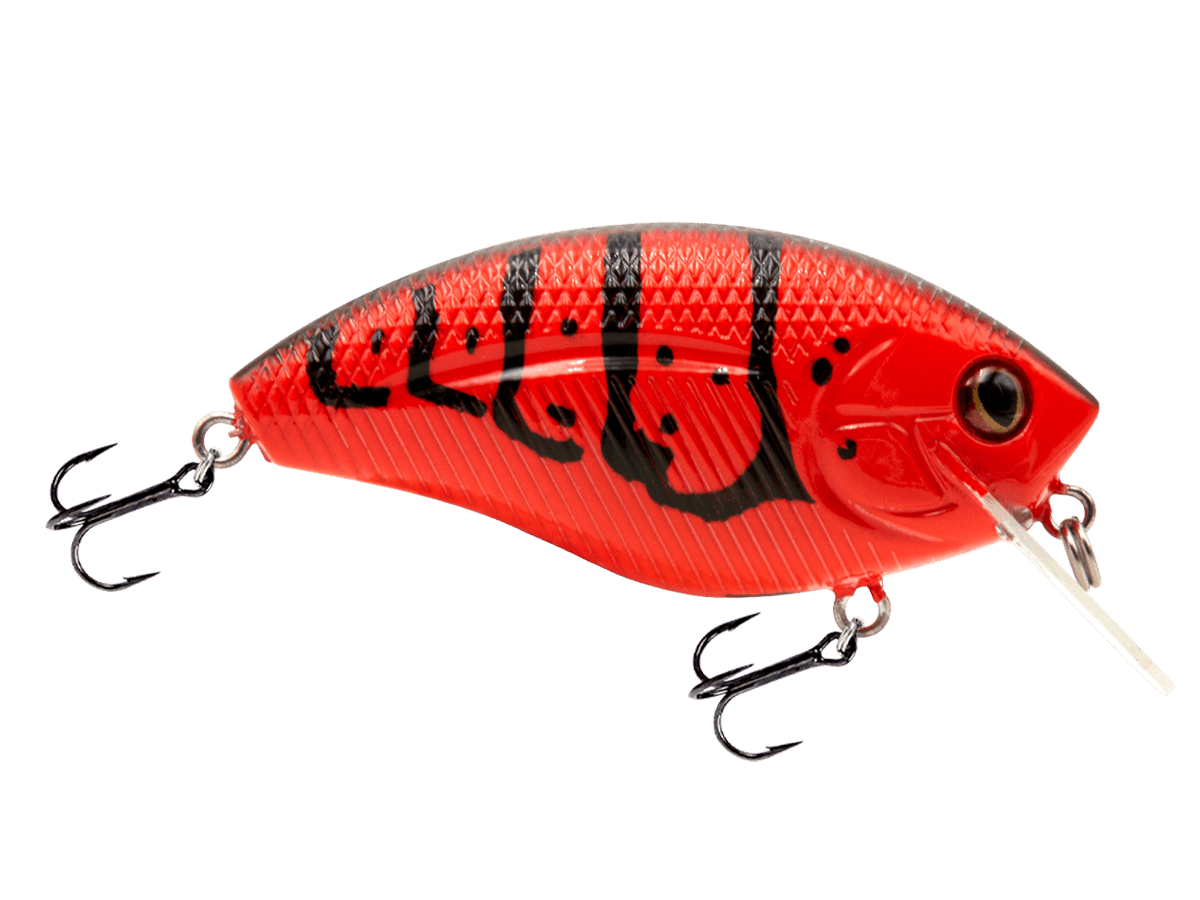 Livingston Lures Howeller DMC SQ (EBS MultiTouch) - Angler's Pro Tackle & Outdoors