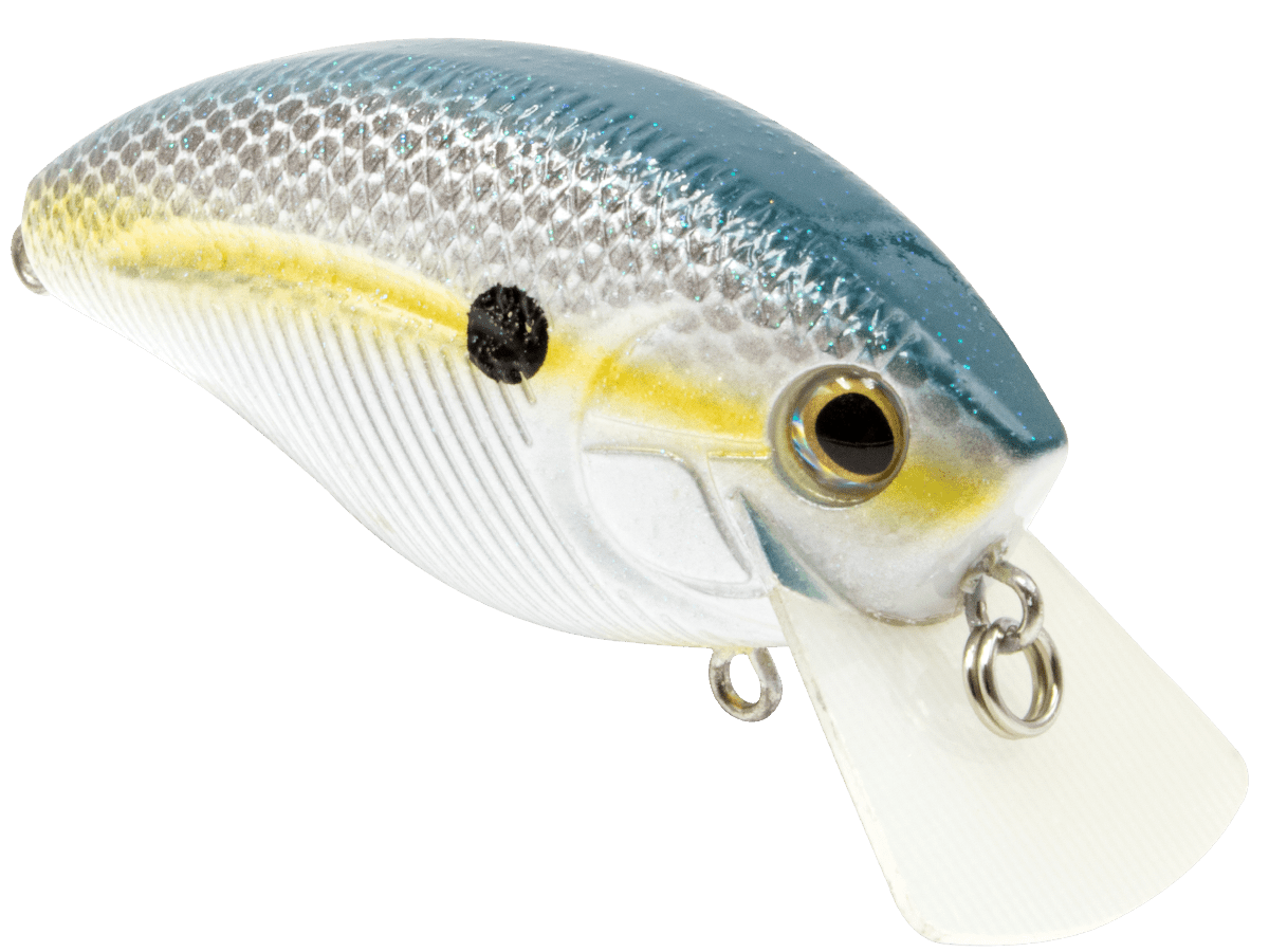 Livingston Lures Howeller DMC SQ (EBS MultiTouch) - Angler's Pro Tackle & Outdoors