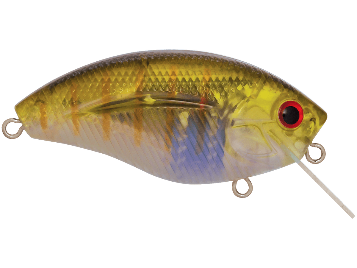 Livingston Lures Howeller DMC SQ (EBS MultiTouch) - Angler's Pro Tackle & Outdoors