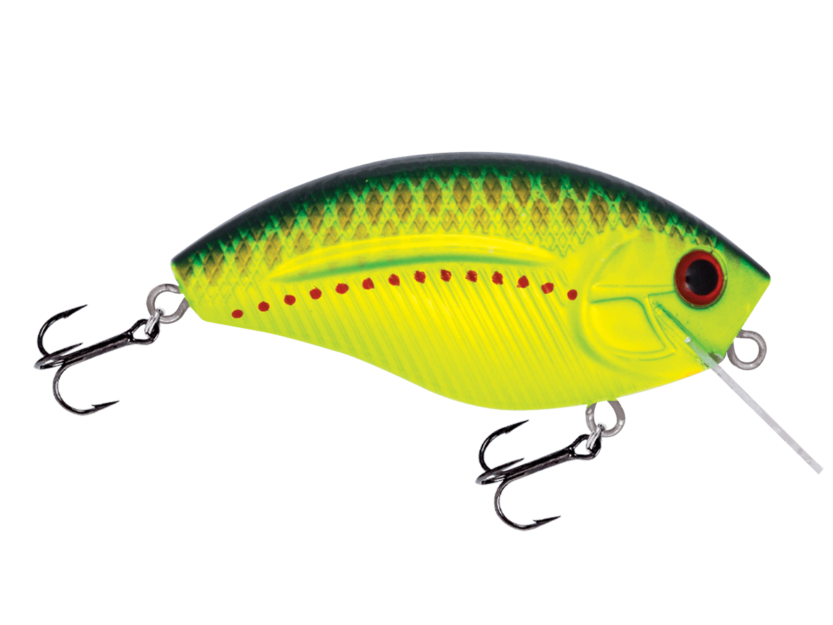Livingston Lures Howeller DMC SQ (EBS MultiTouch) - Angler's Pro Tackle & Outdoors