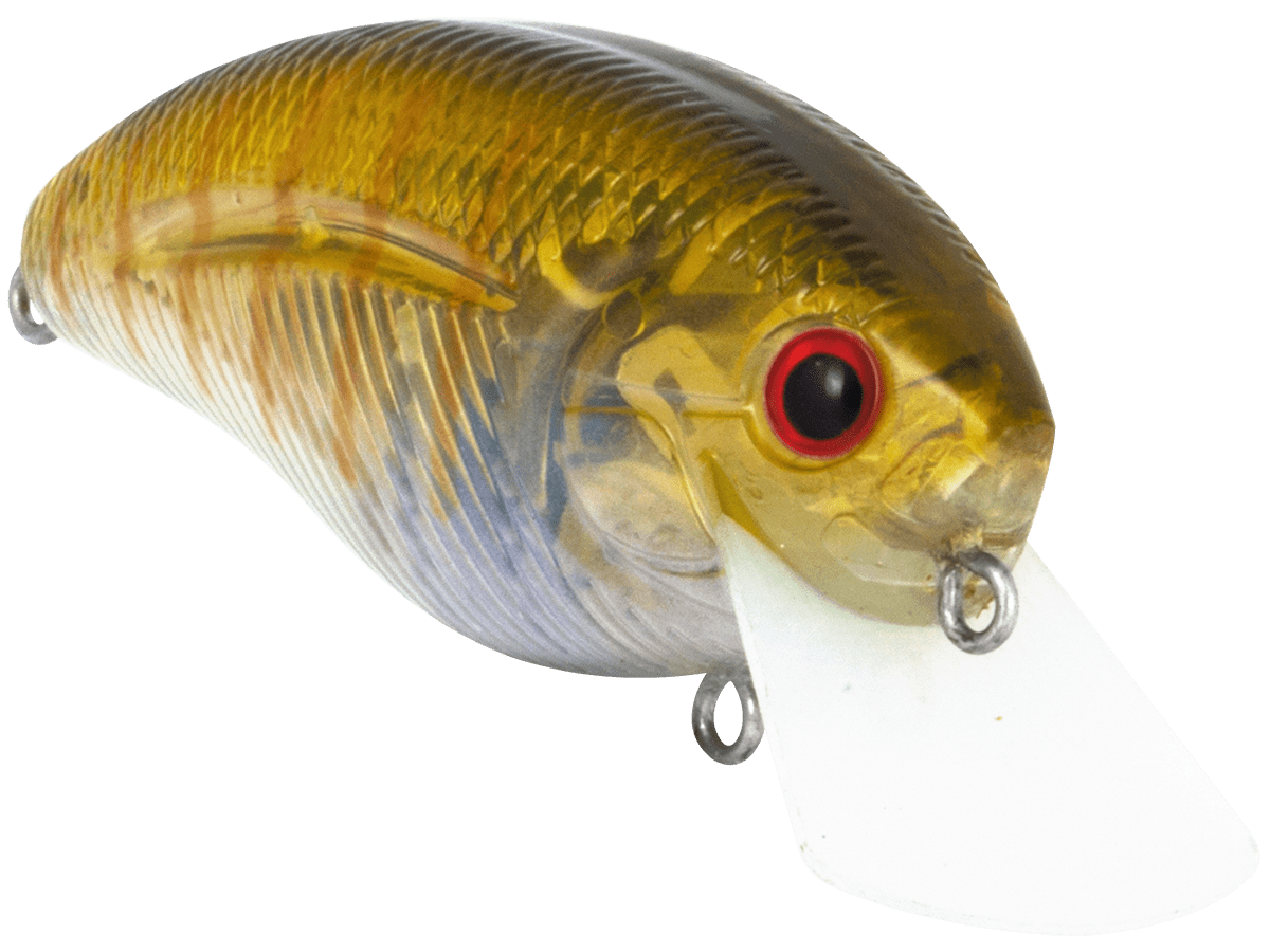 Livingston Lures Howeller DMC SQ (EBS MultiTouch) - Angler's Pro Tackle & Outdoors