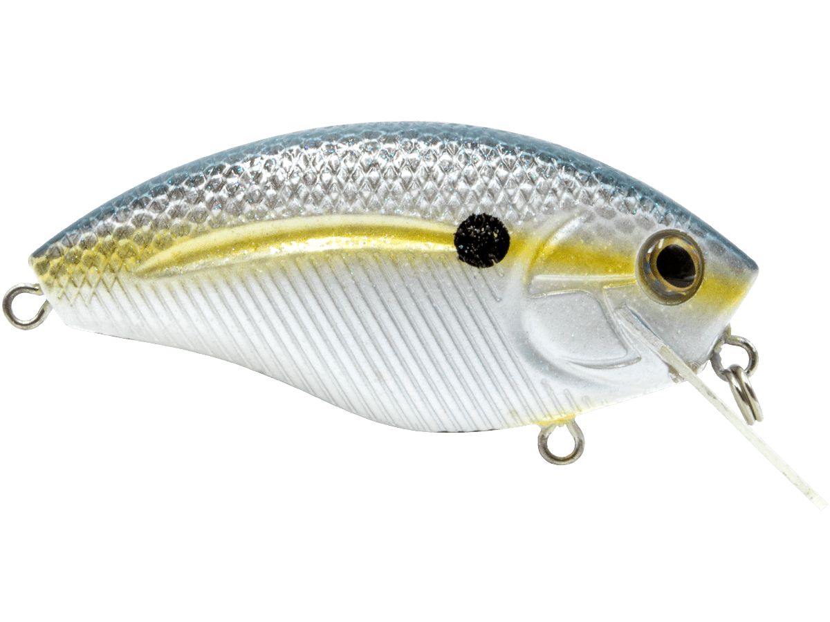 Livingston Lures Howeller DMC SQ (EBS MultiTouch) - Angler's Pro Tackle & Outdoors