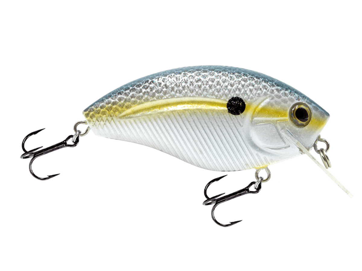 Livingston Lures Howeller DMC SQ (EBS MultiTouch) - Angler's Pro Tackle & Outdoors