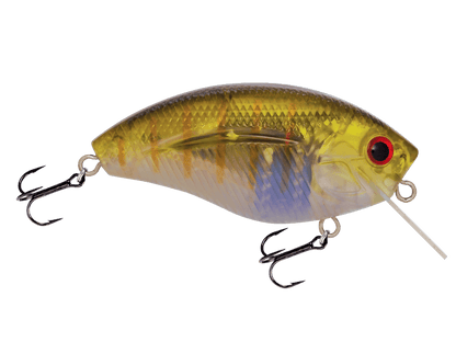 Livingston Lures Howeller DMC SQ (EBS MultiTouch) - Angler's Pro Tackle & Outdoors