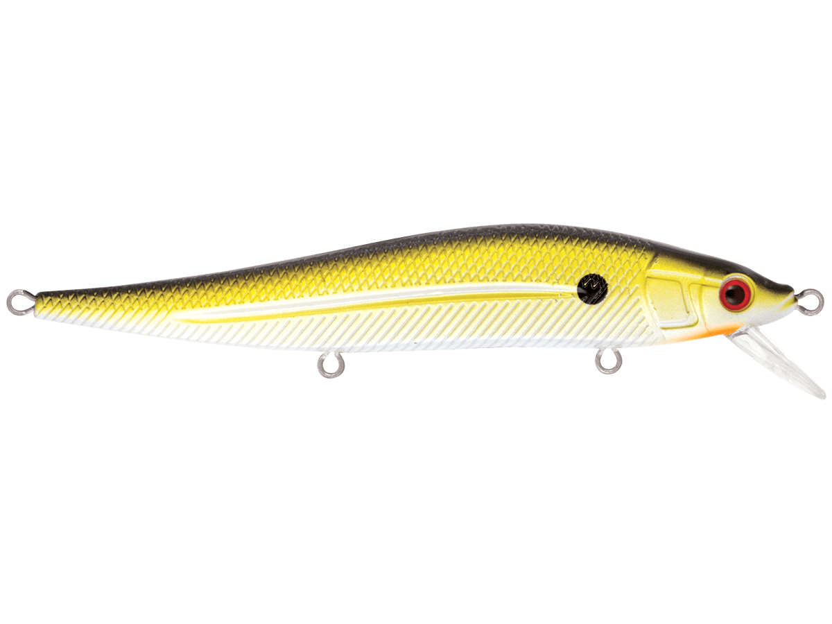 Livingston Lures JerkMaster 121 (EBS MultiTouch) - Angler's Pro Tackle & Outdoors