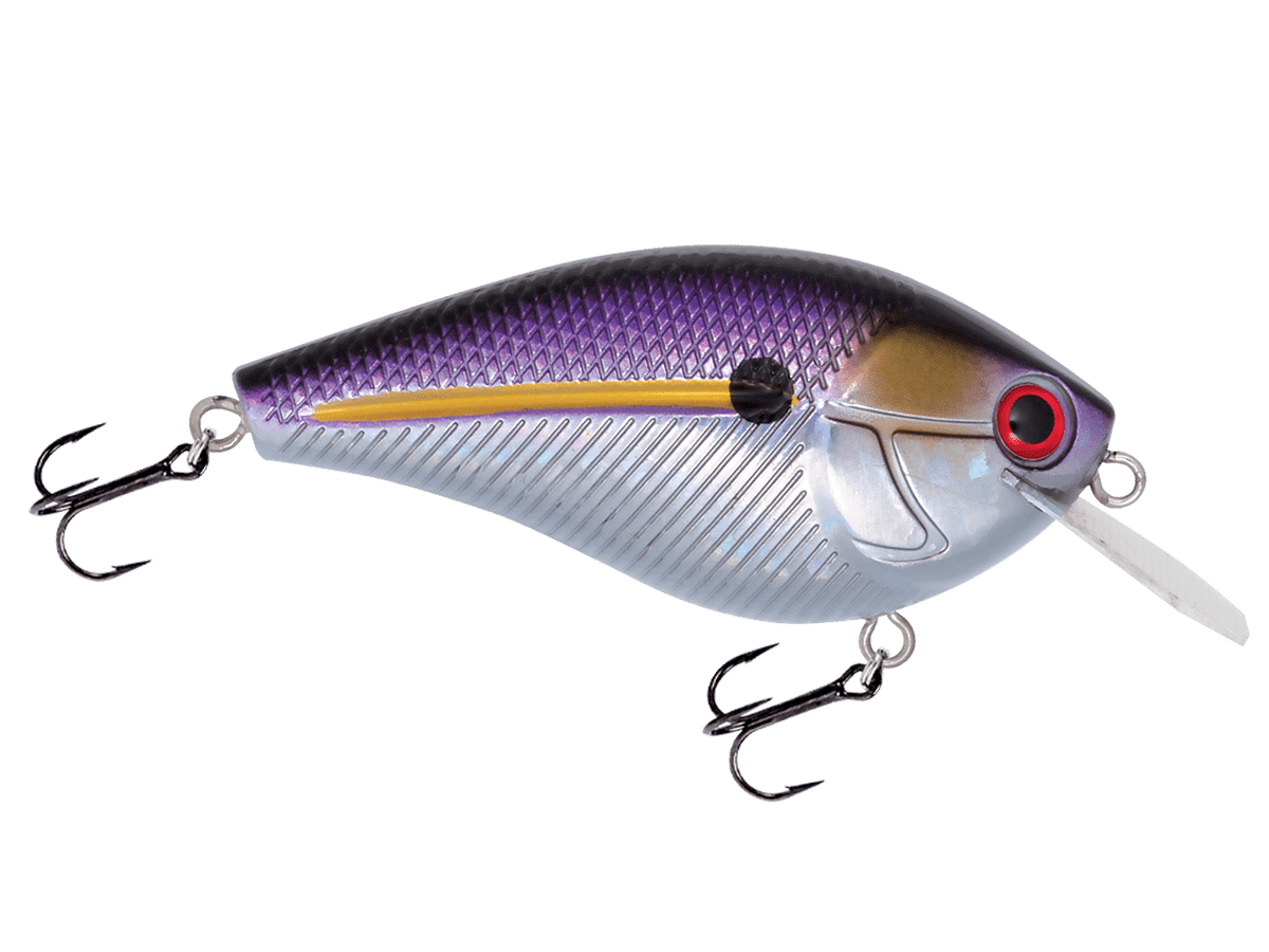 Livingston Lures Primetyme CB 2.0 (EBS MultiTouch) - Angler's Pro Tackle & Outdoors