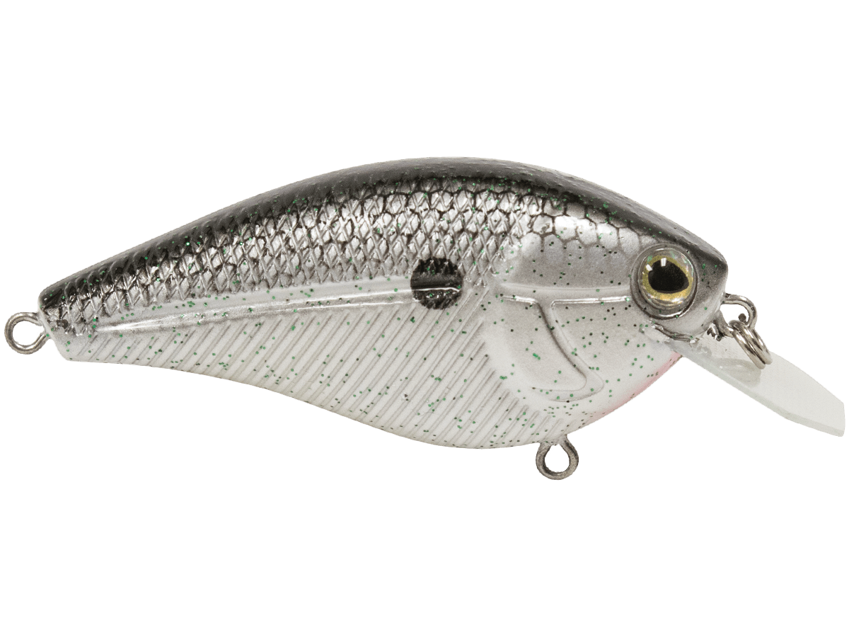 Livingston Lures Primetyme CB 2.0 (EBS MultiTouch) - Angler's Pro Tackle & Outdoors