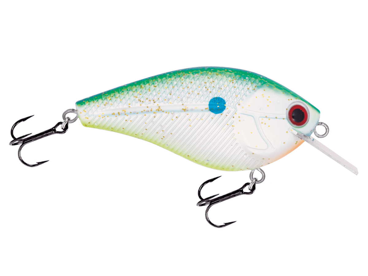 Livingston Lures Primetyme CB 2.0 (EBS MultiTouch) - Angler's Pro Tackle & Outdoors
