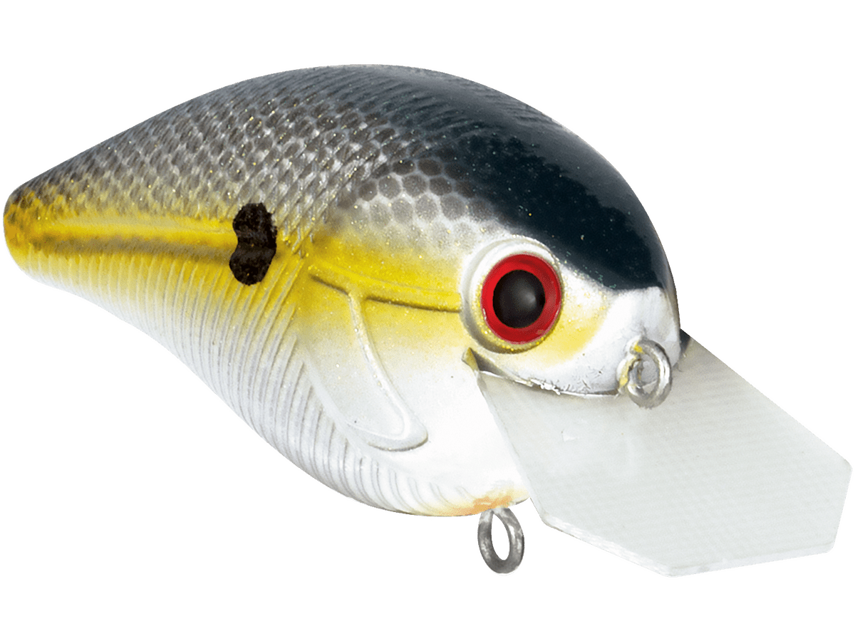 Livingston Lures Primetyme CB 2.0 (EBS MultiTouch) - Angler's Pro Tackle & Outdoors