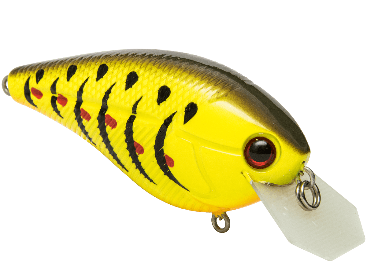 Livingston Lures Primetyme CB 2.0 (EBS MultiTouch) - Angler's Pro Tackle & Outdoors
