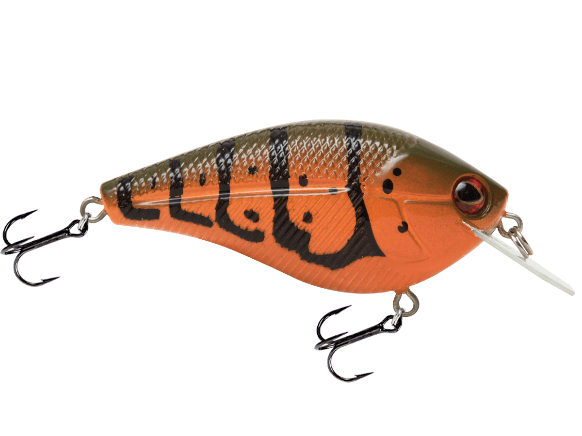 Livingston Lures Primetyme CB 2.0 (EBS MultiTouch) - Angler's Pro Tackle & Outdoors
