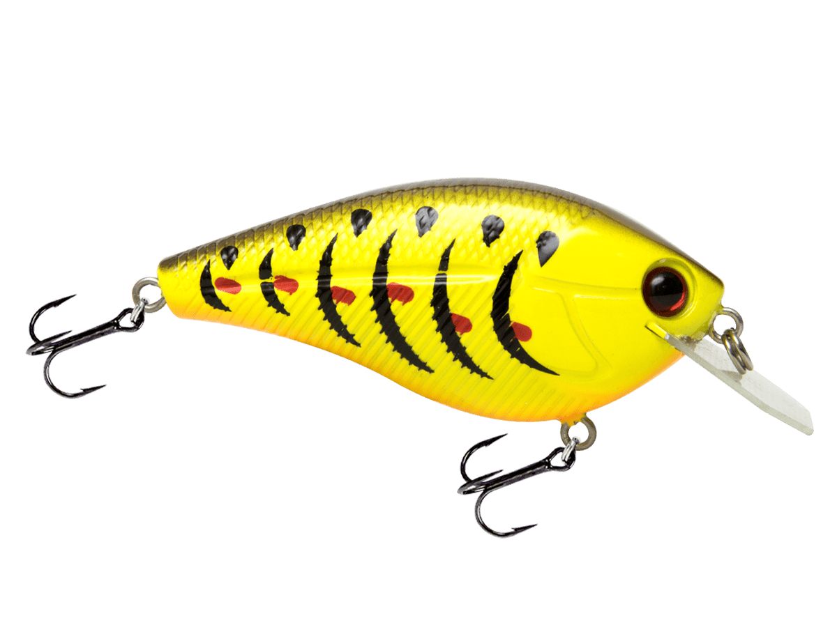 Livingston Lures Primetyme CB 2.0 (EBS MultiTouch) - Angler's Pro Tackle & Outdoors