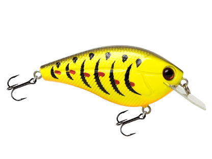 Livingston Lures Primetyme CB 2.0 (EBS MultiTouch) - Angler's Pro Tackle & Outdoors