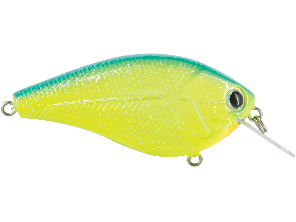 Livingston Lures Primetyme CB 2.0 (EBS MultiTouch) - Angler's Pro Tackle & Outdoors