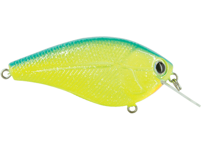 Livingston Lures Primetyme CB 2.0 (EBS MultiTouch) - Angler's Pro Tackle & Outdoors