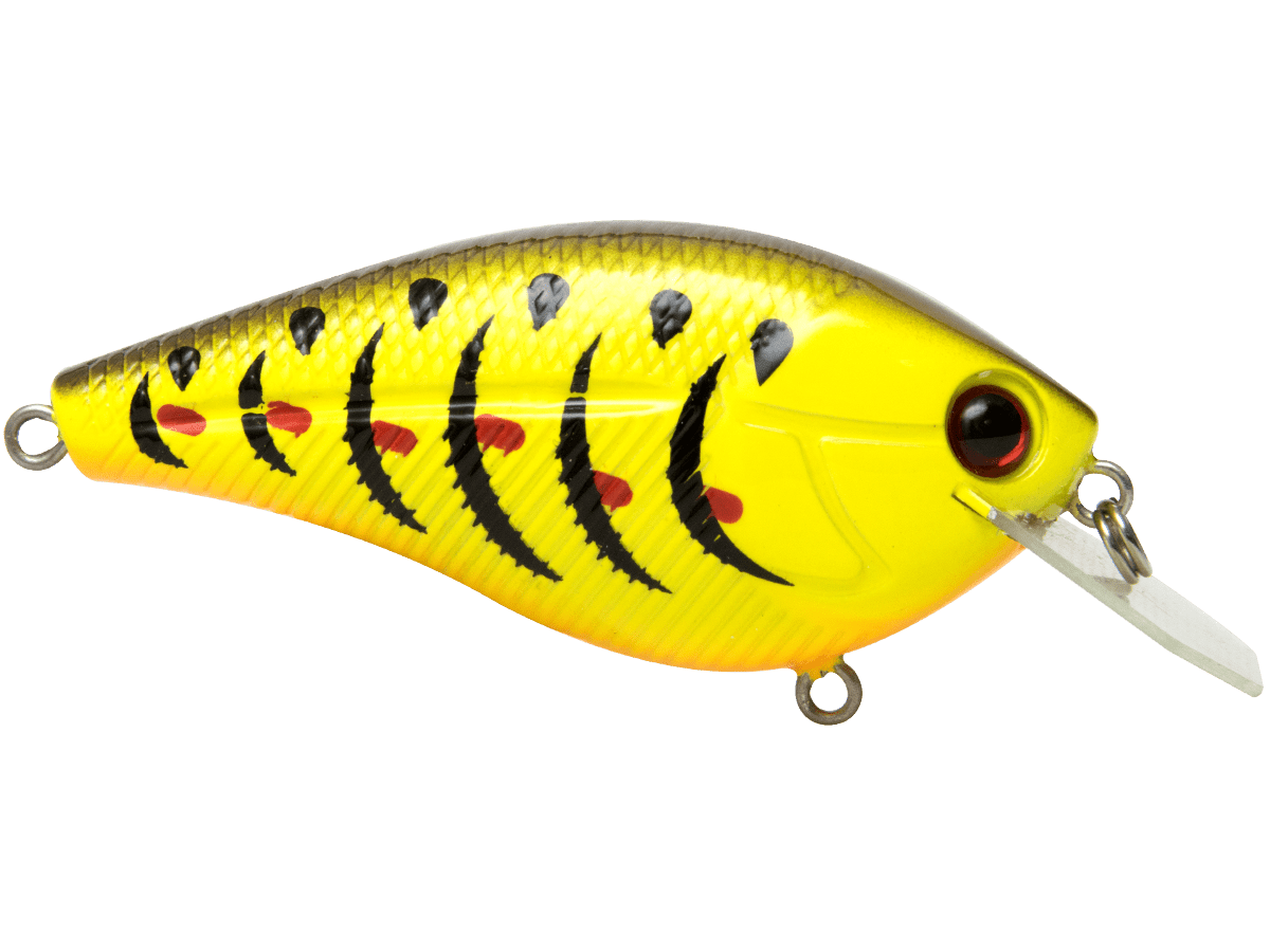 Livingston Lures Primetyme CB 2.0 (EBS MultiTouch) - Angler's Pro Tackle & Outdoors