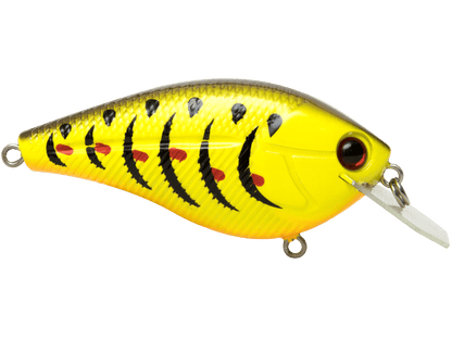 Livingston Lures Primetyme CB 2.0 (EBS MultiTouch) - Angler's Pro Tackle & Outdoors