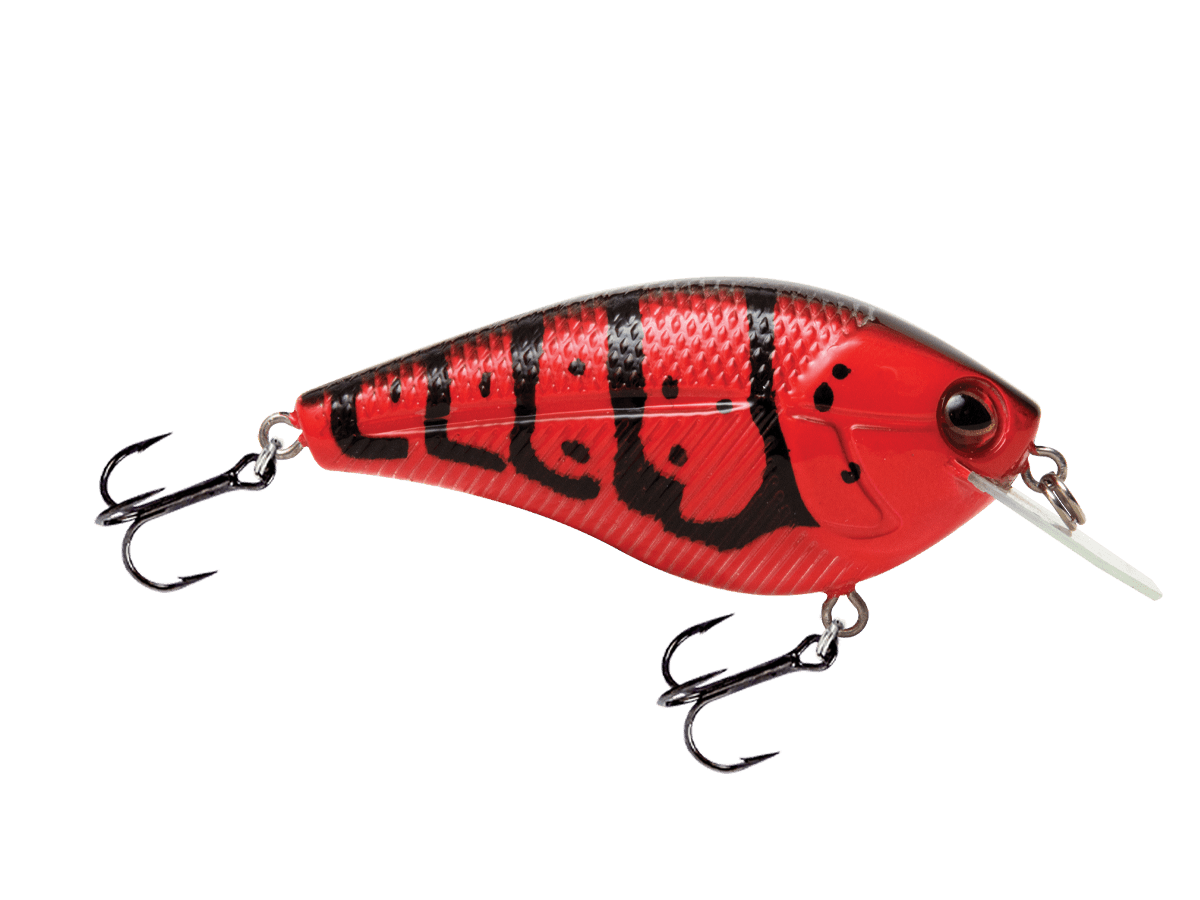 Livingston Lures Primetyme CB 2.0 (EBS MultiTouch) - Angler's Pro Tackle & Outdoors