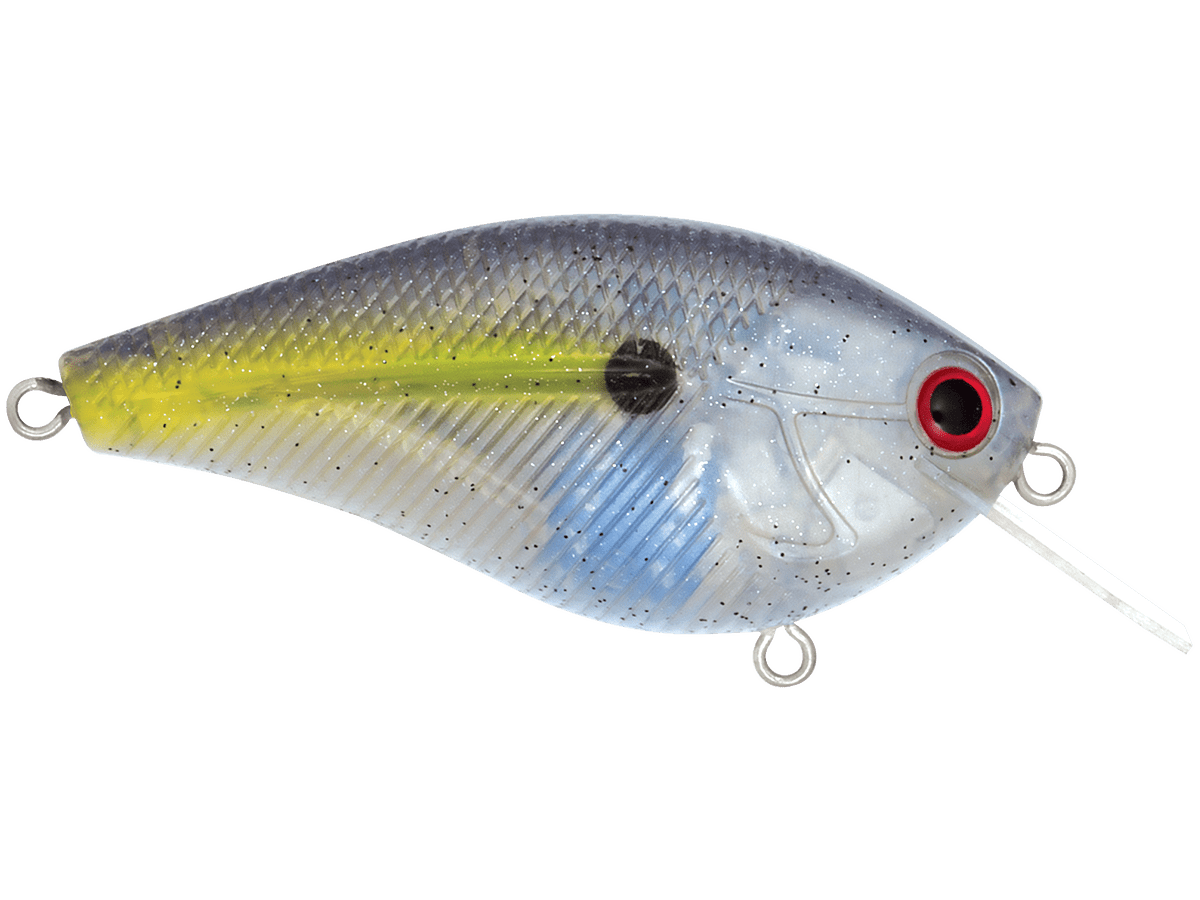 Livingston Lures Primetyme CB 2.0 (EBS MultiTouch) - Angler's Pro Tackle & Outdoors
