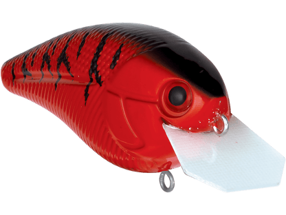 Livingston Lures Primetyme CB 2.0 (EBS MultiTouch) - Angler's Pro Tackle & Outdoors