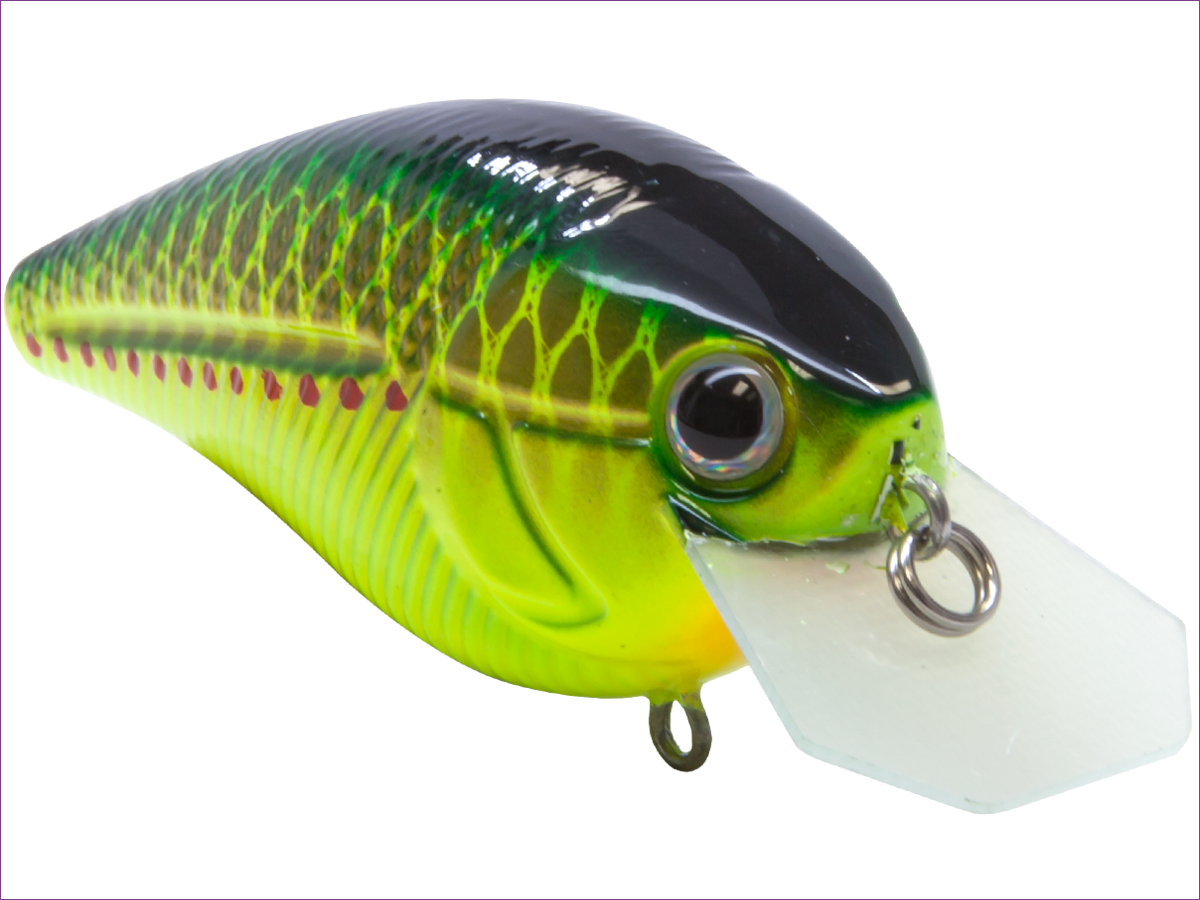 Livingston Lures Primetyme CB 2.0 (EBS MultiTouch) - Angler's Pro Tackle & Outdoors