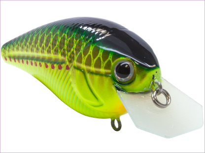 Livingston Lures Primetyme CB 2.0 (EBS MultiTouch) - Angler's Pro Tackle & Outdoors