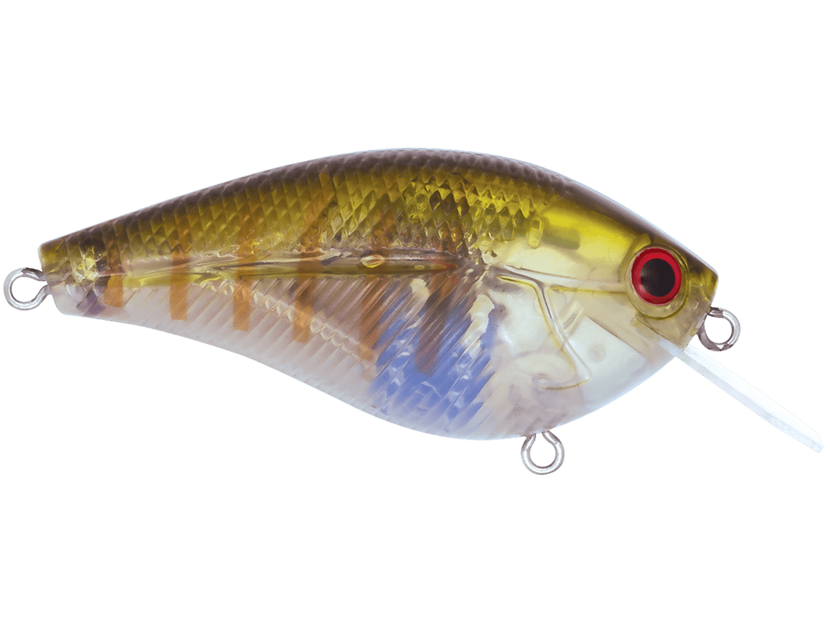 Livingston Lures Primetyme CB 2.0 (EBS MultiTouch) - Angler's Pro Tackle & Outdoors